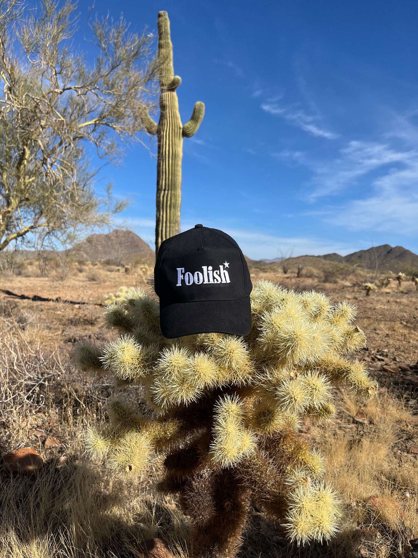 "FOOLISH" HAT